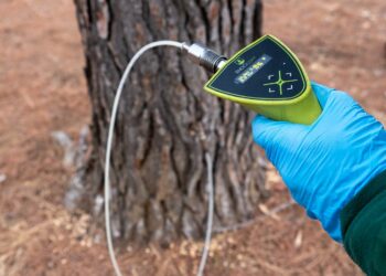 Arranca la campaña anual de endoterapia para prevenir la procesionaria del pino en Marbella