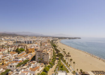 Estepona licita el servicio de rescate y protección animal para ampliar su cobertura