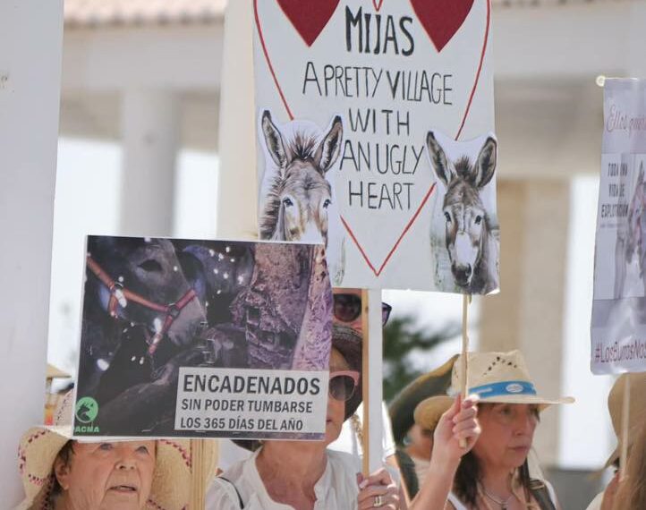 Mijas se moviliza: una nueva protesta de animalistas exige el fin definitivo de los burro-taxis