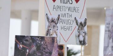 Mijas se moviliza: una nueva protesta de animalistas exige el fin definitivo de los burro-taxis