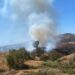 Última hora: dos incendios en la Costa del Sol, uno en Mijas y otro en Casares