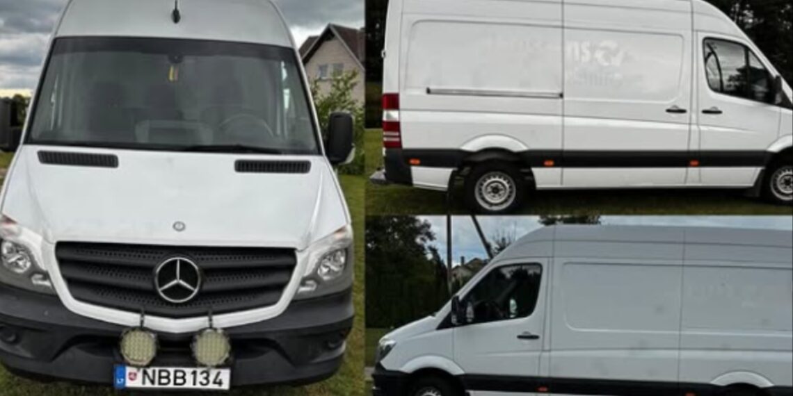 Denuncian el robo de una furgoneta en Estepona: «Estoy desesperada y necesito ayuda»