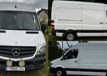 Denuncian el robo de una furgoneta en Estepona: «Estoy desesperada y necesito ayuda»