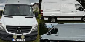 Denuncian el robo de una furgoneta en Estepona: «Estoy desesperada y necesito ayuda»