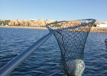 Aumento en agosto de los residuos recogidos en las aguas costasoleñas