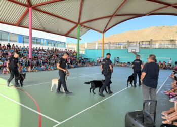 Más de 1.600 niños participan en los campamentos deportivos municipales de verano en Torremolinos