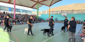 Más de 1.600 niños participan en los campamentos deportivos municipales de verano en Torremolinos