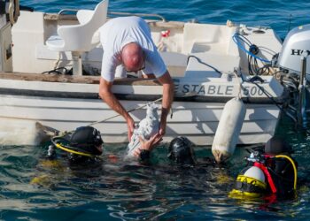 Puerto Banús acoge el acto en honor a la Virgen del Carmen