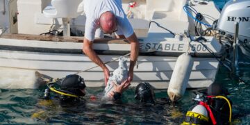 Puerto Banús acoge el acto en honor a la Virgen del Carmen
