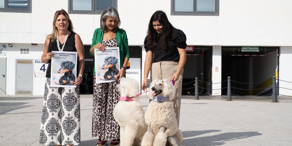 Más de 70 razas se darán cita el domingo en el II Concurso Nacional Canino de Benalmádena
