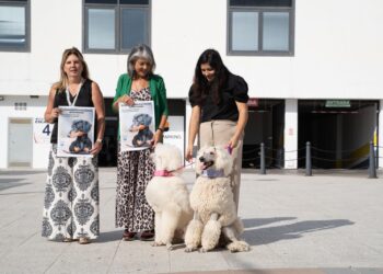 Más de 70 razas se darán cita el domingo en el II Concurso Nacional Canino de Benalmádena