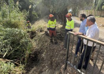Los trabajos de desbroce en arroyos y parcelas municipales superan ya los 110.000 metros cuadrados intervenidos en todo el municipio