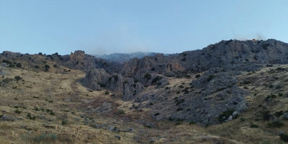 Estabilizado un incendio en la zona de Boquete de Zafarraya de Alcaucín