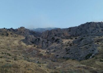 Estabilizado un incendio en la zona de Boquete de Zafarraya de Alcaucín
