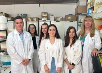 Investigadores de IBIMA descubren que las proteínas de origen humano que causan el alzheimer provocan daños más severos que las de ratón