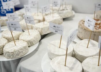 Diputación convoca una nueva edición de los premios a los mejores quesos de la provincia