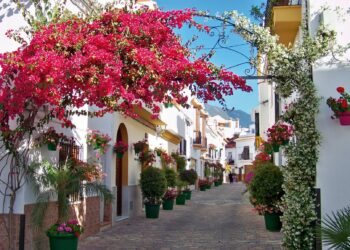 ‘Estepona Vive sus Calles’ regresa en otoño con Los Secretos, Feria del Pulpo y más de 10 actividades culturales