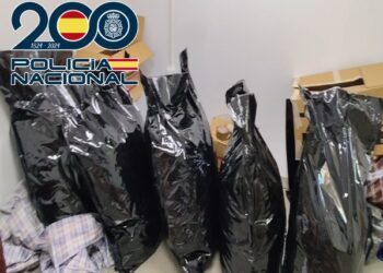 Desarticulado en Vélez-Málaga un entramado criminal dedicado al cultivo y exportación de marihuana