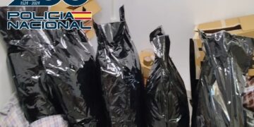 Desarticulado en Vélez-Málaga un entramado criminal dedicado al cultivo y exportación de marihuana