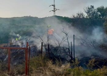 Bomberos intervienen en un incendio originado en una cuneta de la A-377 a la altura de Casares