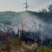 Bomberos intervienen en un incendio originado en una cuneta de la A-377 a la altura de Casares