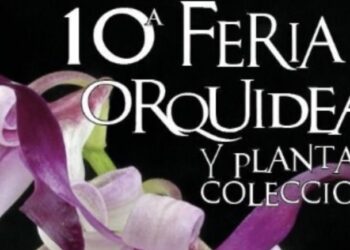 Estepona acoge la X Feria de Orquídeas y Plantas de Colección en el décimo aniversario del Parque Botánico Orquidario