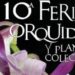 Estepona acoge la X Feria de Orquídeas y Plantas de Colección en el décimo aniversario del Parque Botánico Orquidario