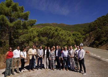 La carretera entre Ronda y San Pedro recupera la normalidad tras siete meses de reparaciones por la DANA