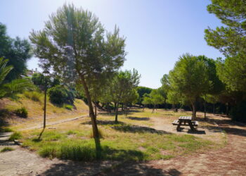 Concluidos los trámites para acometer la mayor reforma y mejora del parque público Seghers