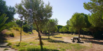 Concluidos los trámites para acometer la mayor reforma y mejora del parque público Seghers