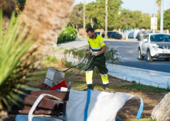 San Pedro culmina un plan especial de conservación de zonas verdes de cara al otoño