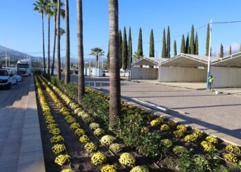 Últimos preparativos del recinto de La Caridad para la celebración de la Feria de San Pedro Alcántara