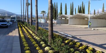 Últimos preparativos del recinto de La Caridad para la celebración de la Feria de San Pedro Alcántara