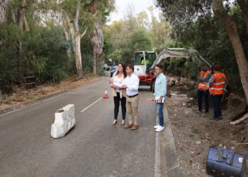 Los nuevos acerados y canalizaciones de la Cañada de Ganados mejorarán la seguridad peatonal en esta zona de Nueva Andalucía