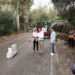Los nuevos acerados y canalizaciones de la Cañada de Ganados mejorarán la seguridad peatonal en esta zona de Nueva Andalucía