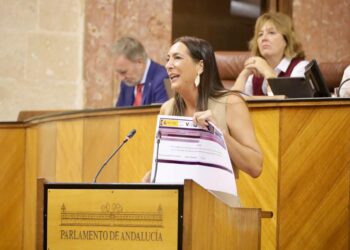 Loles López denuncia fallos en el sistema VioGén sin que el Gobierno de España solucione este problema