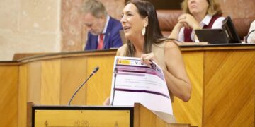 Loles López denuncia fallos en el sistema VioGén sin que el Gobierno de España solucione este problema