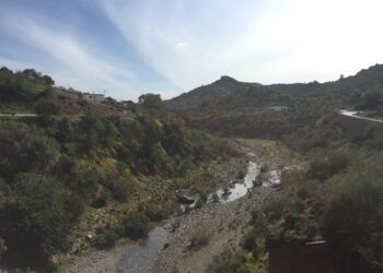 Esto es lo que debes hacer para prevenir el Virus del Nilo