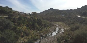 Esto es lo que debes hacer para prevenir el Virus del Nilo