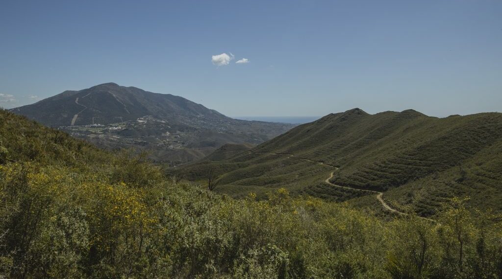 Encuentran los cadáveres de una pareja en una infravivienda de Coín