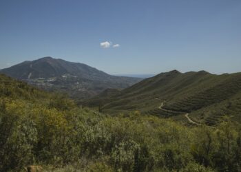 Encuentran los cadáveres de una pareja en una infravivienda de Coín