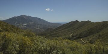 Encuentran los cadáveres de una pareja en una infravivienda de Coín