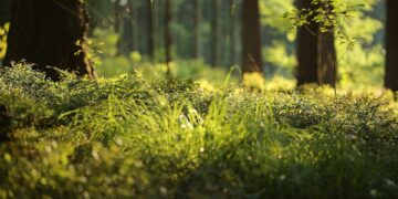 La Junta licita un contrato para desarrollar una plataforma de análisis de datos espaciales