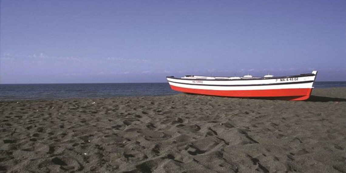 Detectan el primer caso de gripe aviar en la provincia de Málaga