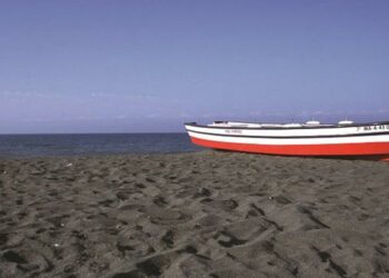 Detectan el primer caso de gripe aviar en la provincia de Málaga