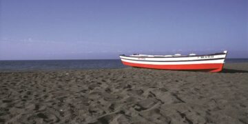 Detectan el primer caso de gripe aviar en la provincia de Málaga