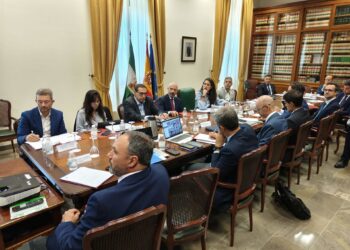 Las propuestas de Transportes en la Costa del Sol: reducir la frecuencia del Cercanías, remodelar la estación de Arroyo de la Miel…