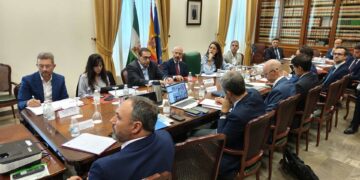 Las propuestas de Transportes en la Costa del Sol: reducir la frecuencia del Cercanías, remodelar la estación de Arroyo de la Miel…