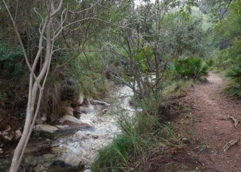 Encuentran el cuerpo sin vida de un hombre en el sendero de Los Monjes de Marbella