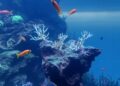 BIOPARC y el Ayuntamiento de Fuengirola inician la primera edición de “Naturaleza en el Aula” en los colegios Andalucía y Eduardo Janeiro